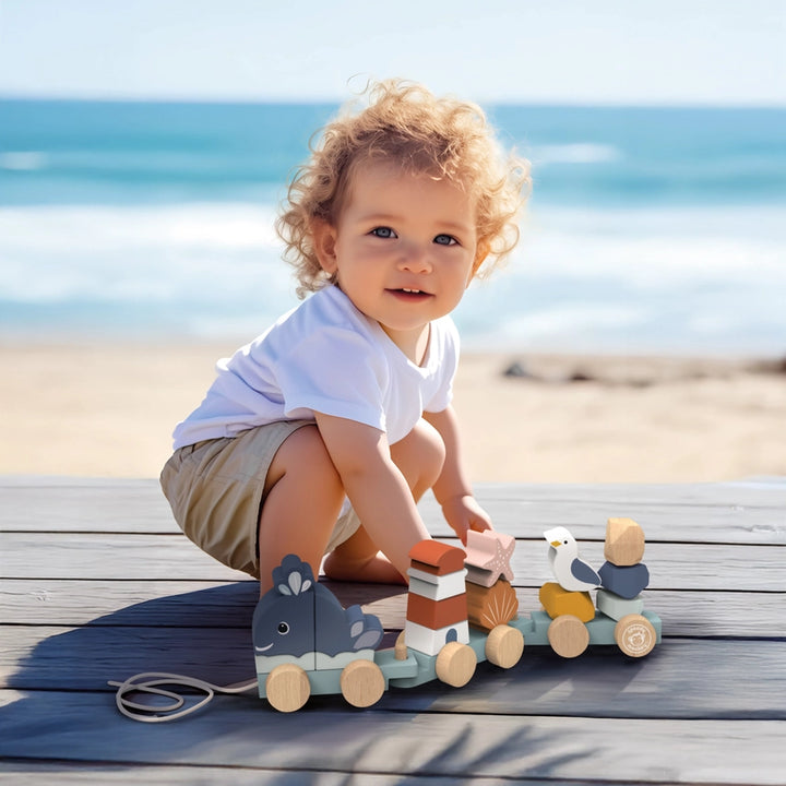 Ocean Stacking Train