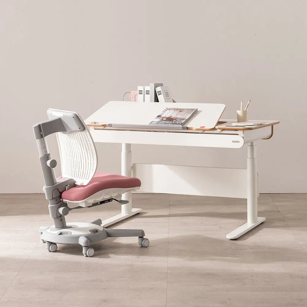 1200 Electric Ergonomic Standing Desk