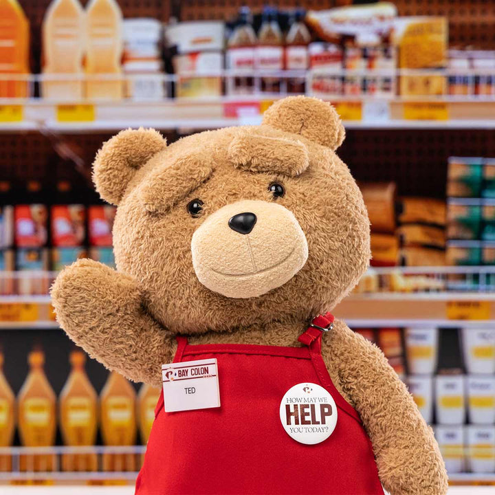 Ted2 - Ted Action Plush Figure