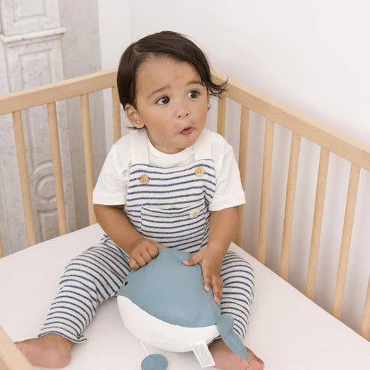 Musical Animals - Whale