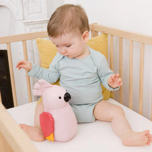 Musical Animals - Parakeet