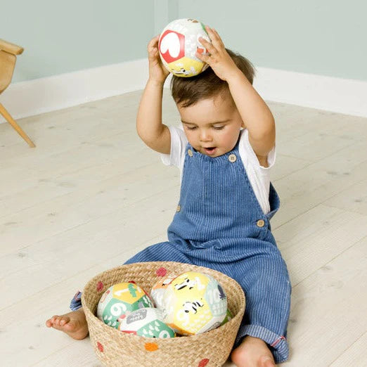 Discovery Ball - Farm