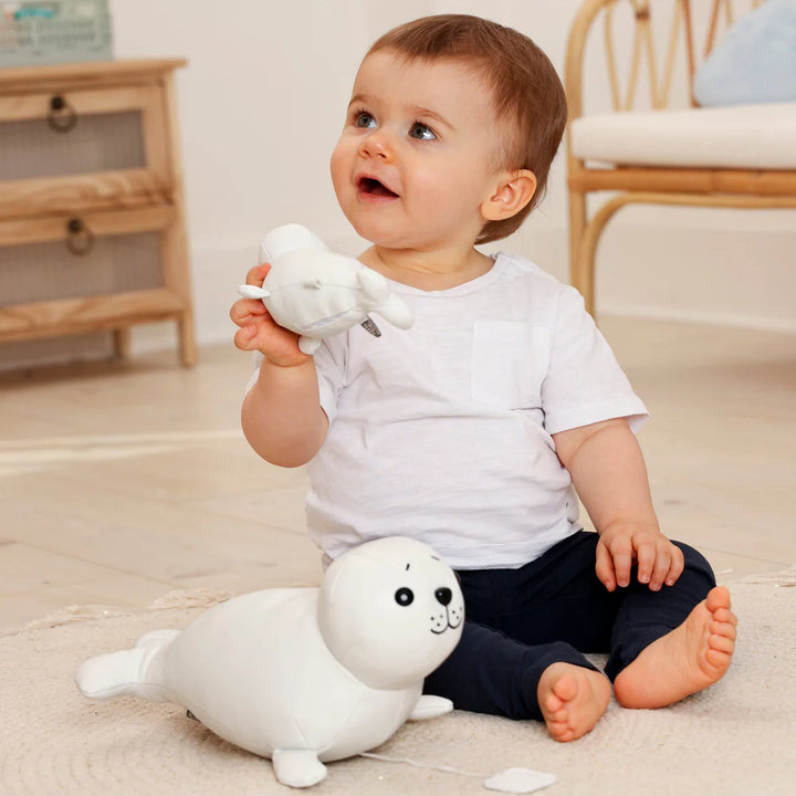 Fur Musical Friends-Seal