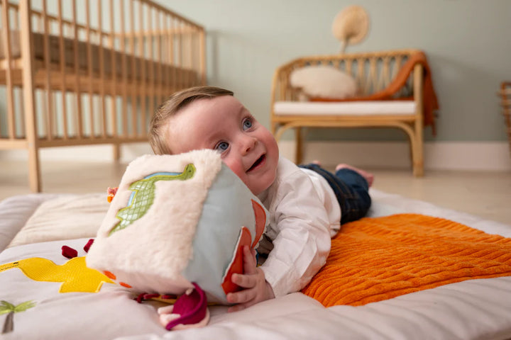 Activity Cube - Dino