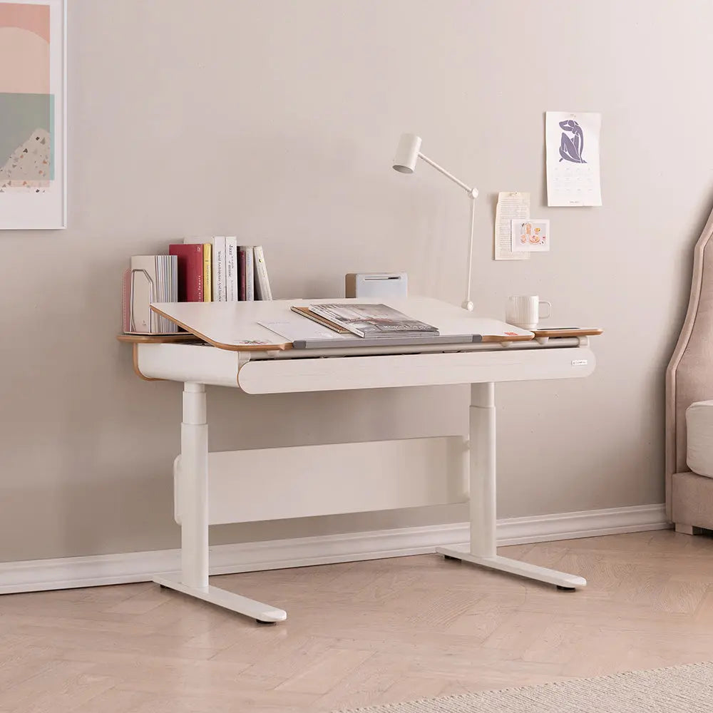 1200 Electric Ergonomic Standing Desk
