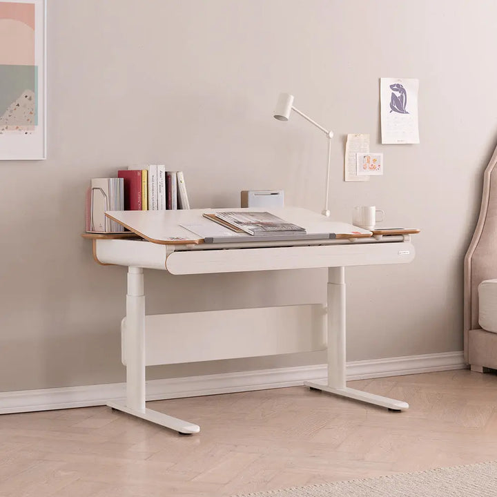 1200 Electric Ergonomic Standing Desk