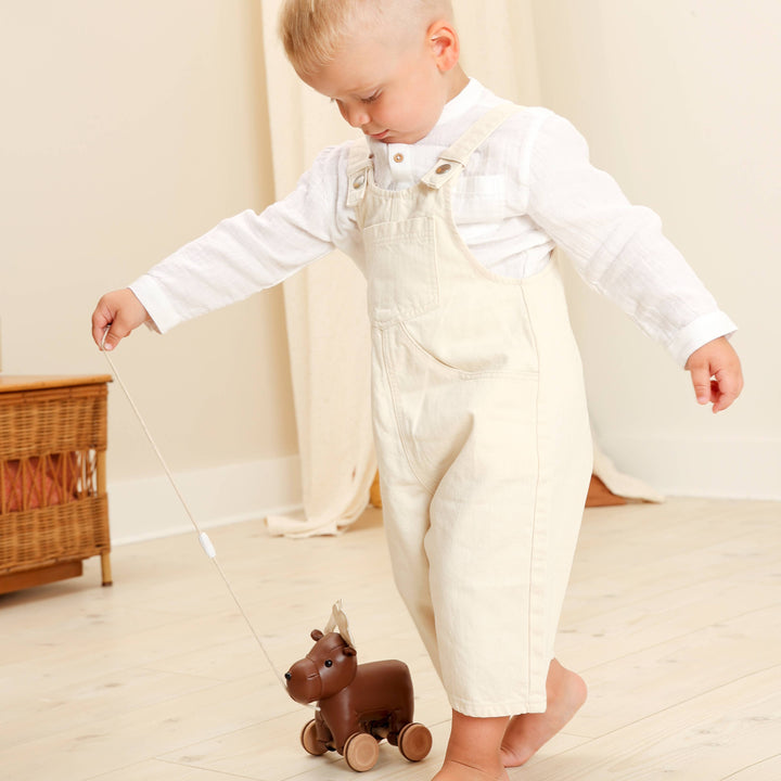 Pull Along Friends -Moose