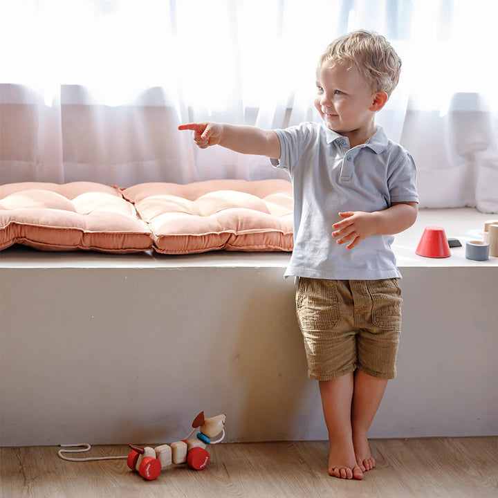 Pull-Along Happy Puppy