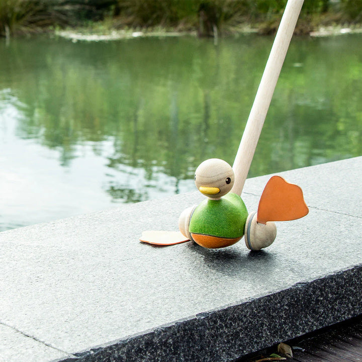 Push Along Duck