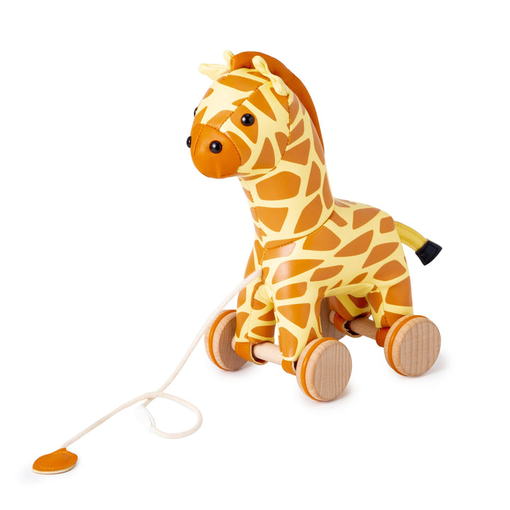Pull Along Friends-Giraffe