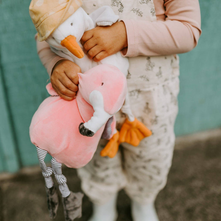 Gulliver the Seagull