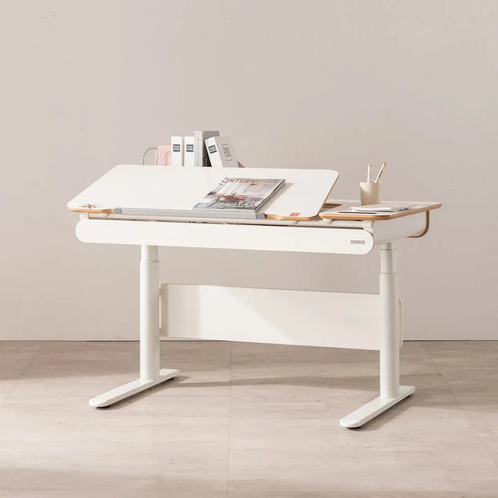 1200 Electric Ergonomic Standing Desk