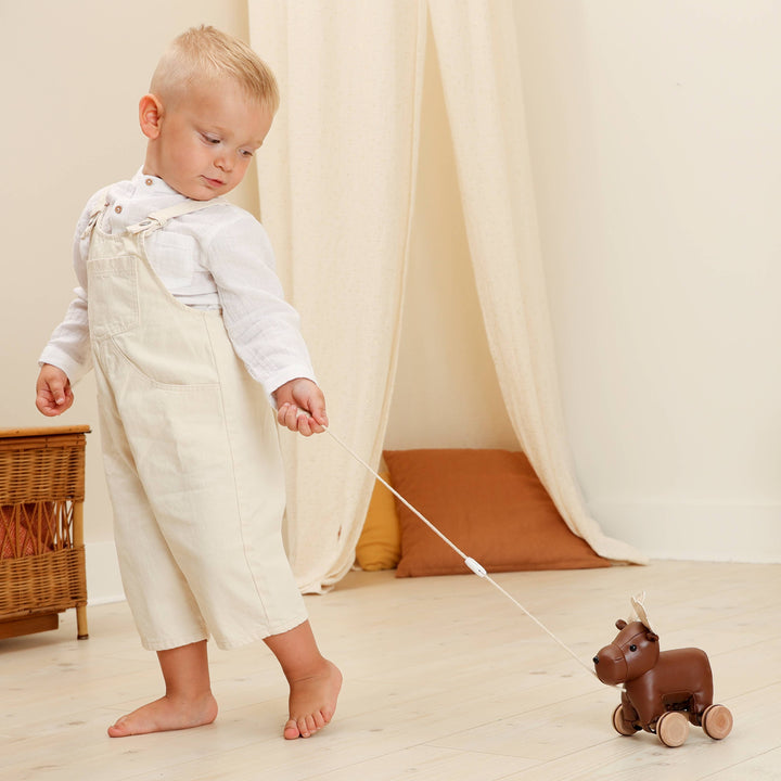 Pull Along Friends -Moose