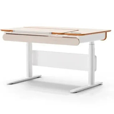 1200 Electric Ergonomic Standing Desk