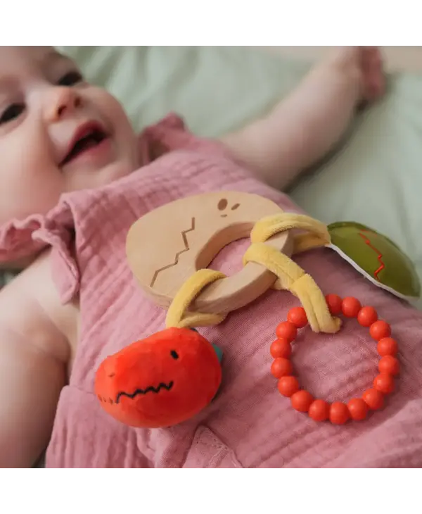 Wooden Rattle - Dino