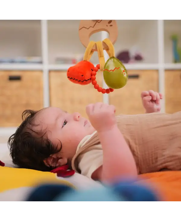 Wooden Rattle - Dino