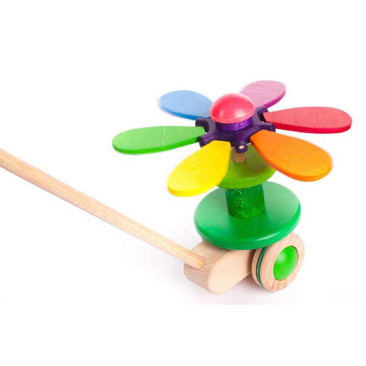 Flower Rainbow Push Toy