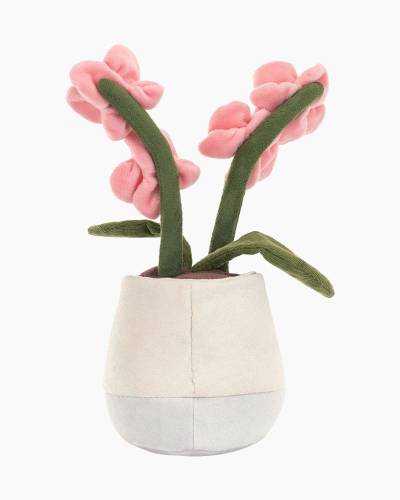 Amuseables Pink Orchid (Limit 1 Per Customer)