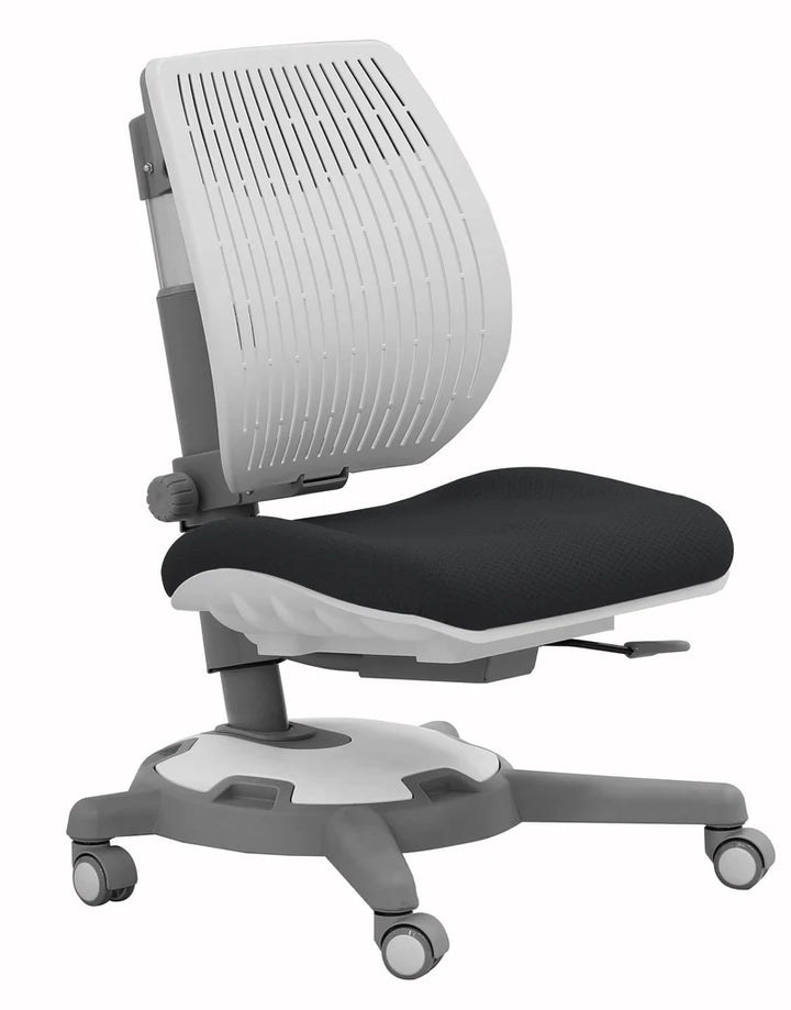 Y1018 Ergonomic Chair