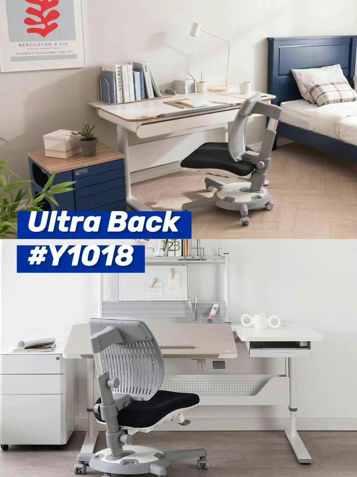 Y1018 Ergonomic Chair