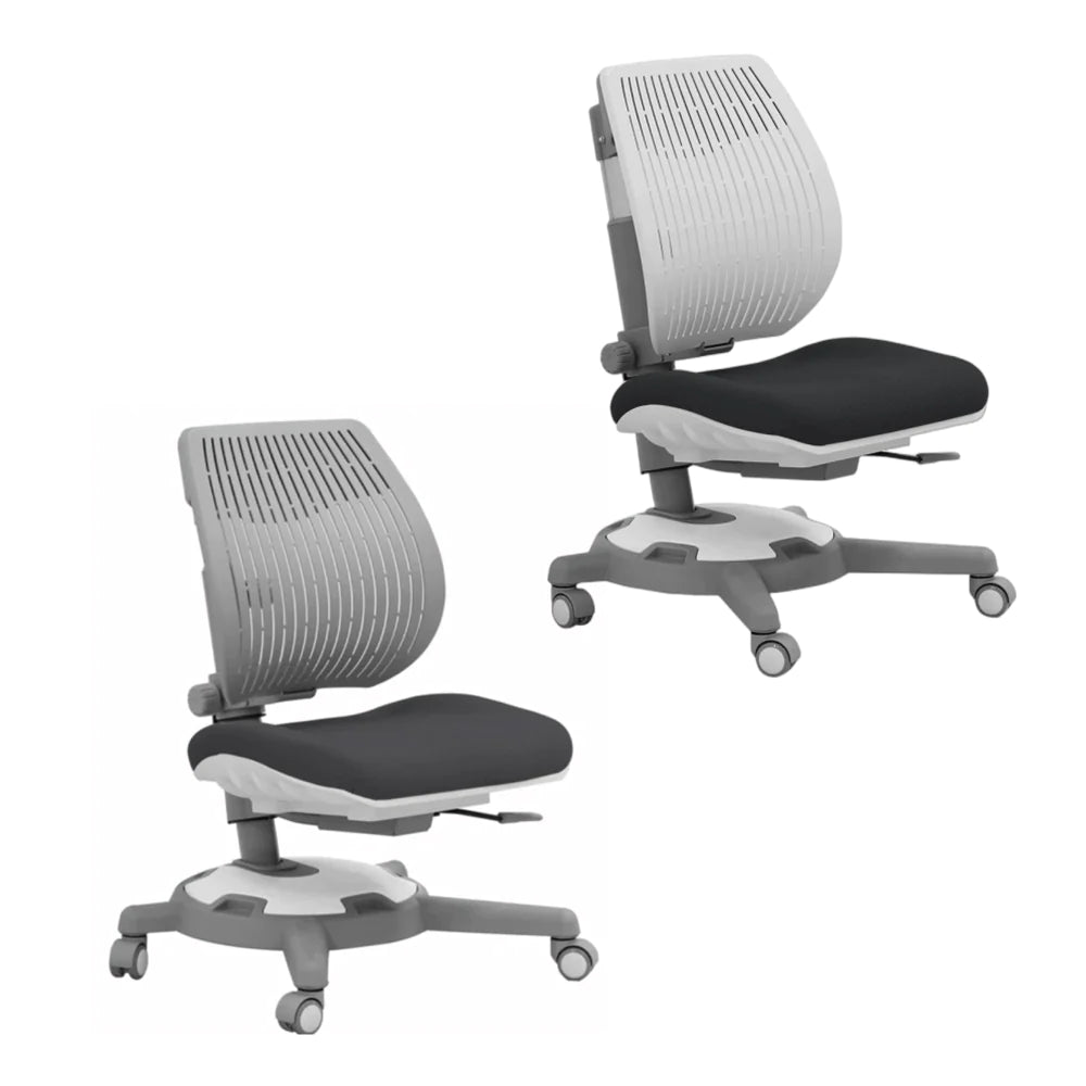 Y1018 Ergonomic Chair