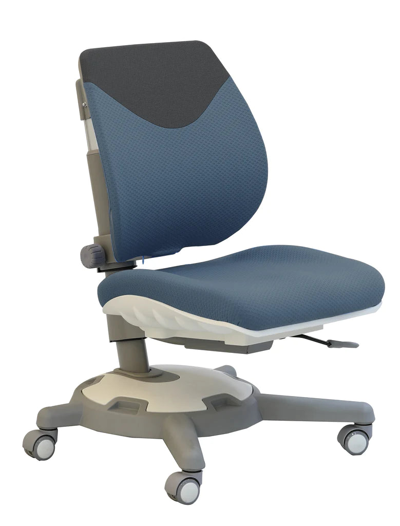 Y1018 Ergonomic Chair