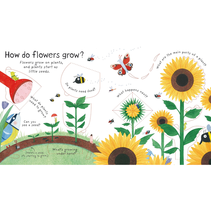 Lift-the-flap Questions and Answers: How do flowers grow?