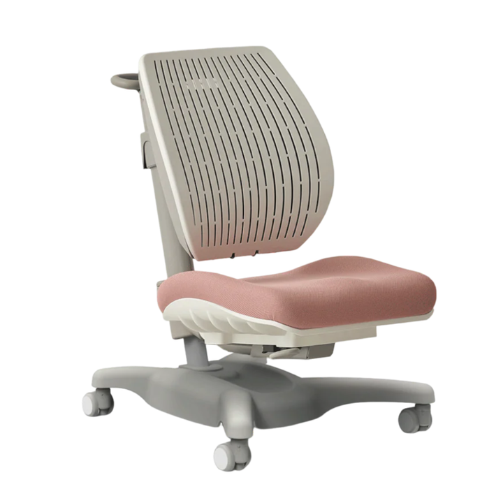 Y1020 Ergonomic Chair
