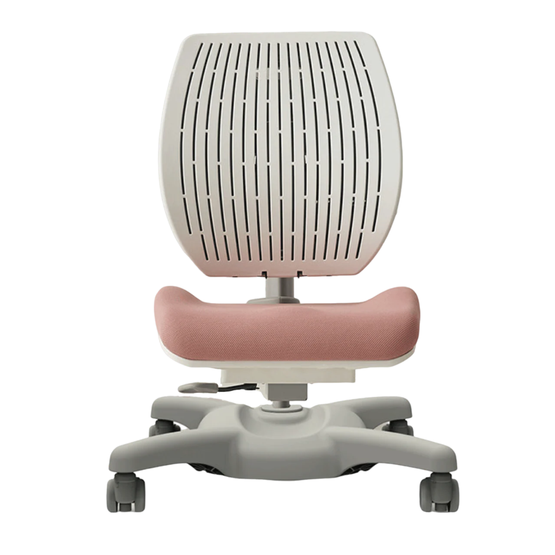 Y1020 Ergonomic Chair