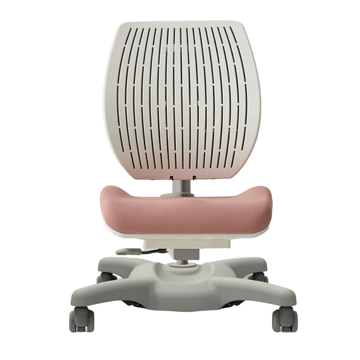 Y1020 Ergonomic Chair
