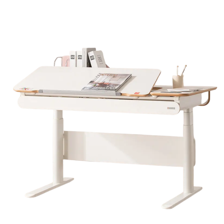 1200 Electric Ergonomic Standing Desk