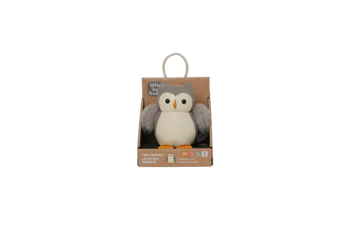 Colette the Owl