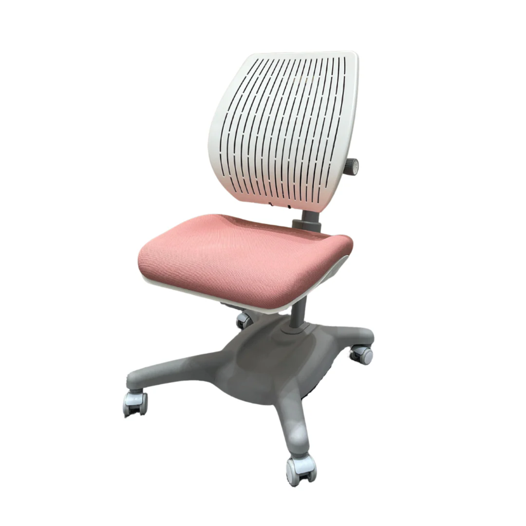 Y1020 Ergonomic Chair