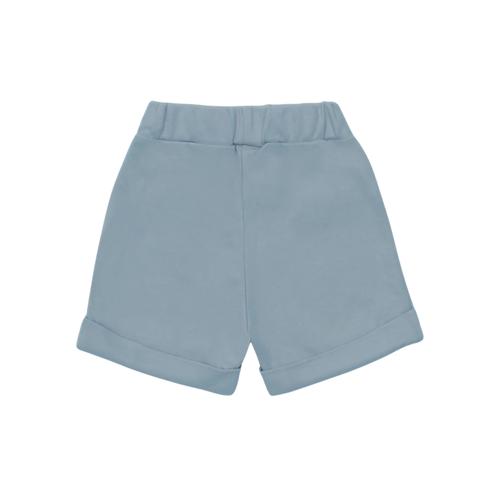 Birs Shorts | Foggy Blue