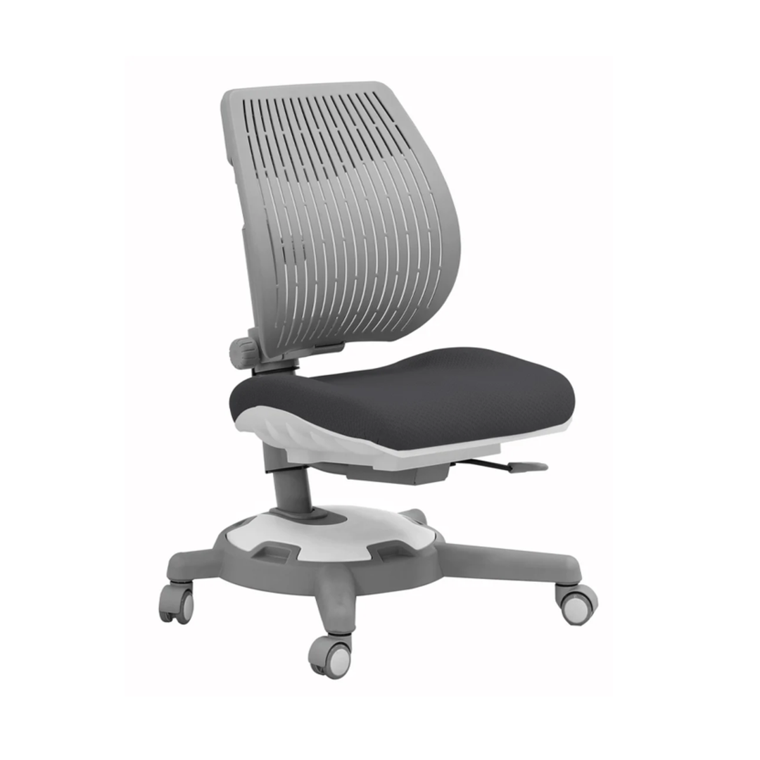 Y1018 Ergonomic Chair