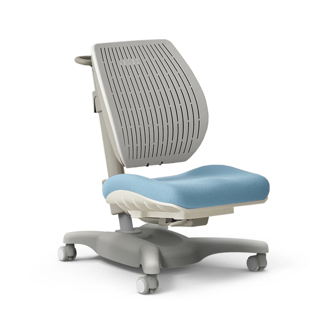 Y1020 Ergonomic Chair