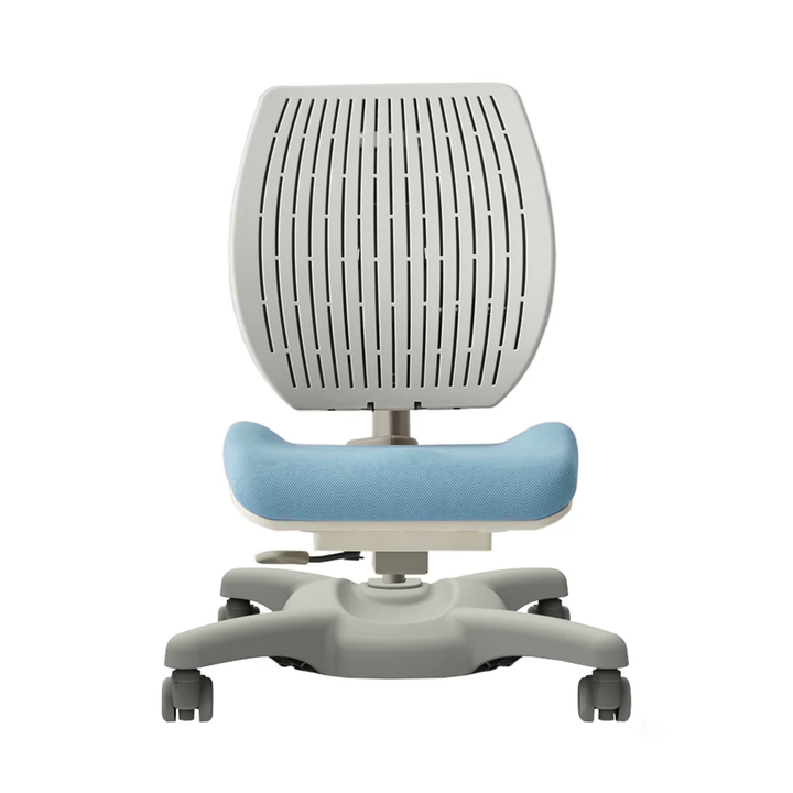 Y1020 Ergonomic Chair
