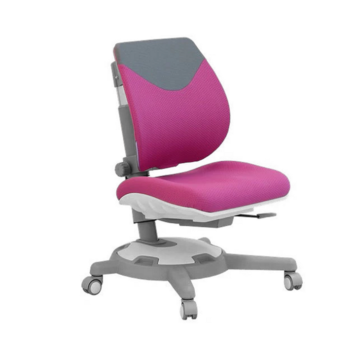 Y1018 Ergonomic Chair