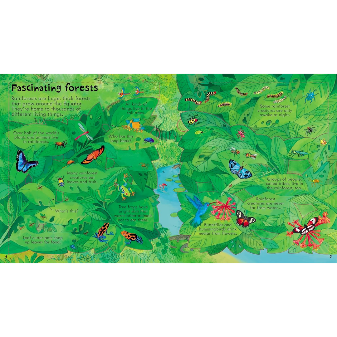 Look Inside Our World