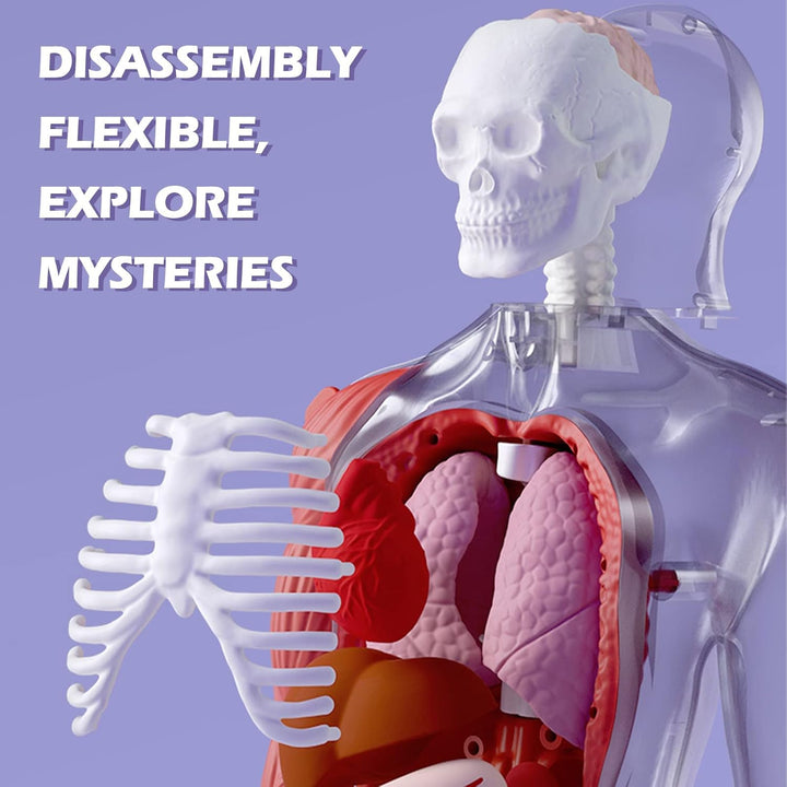 Our Body Voice Pedia
