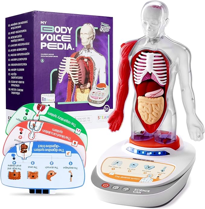 Our Body Voice Pedia