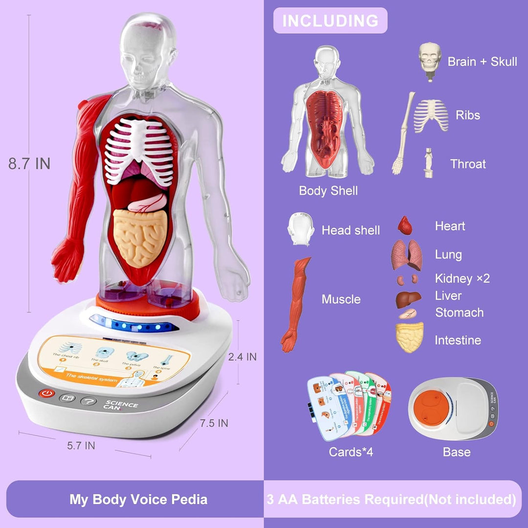 Our Body Voice Pedia