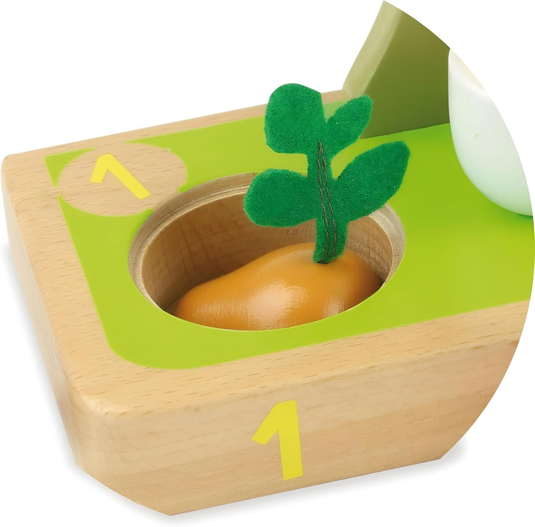 Activity - I learn counting vegetables