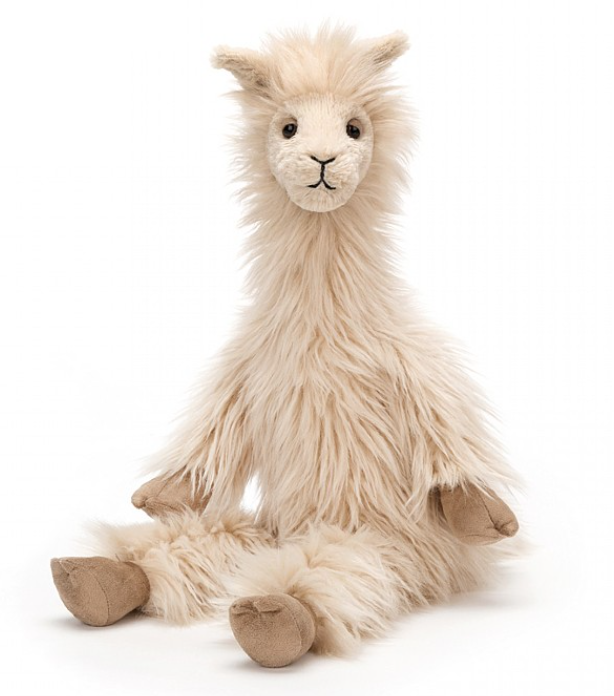 Luis Llama