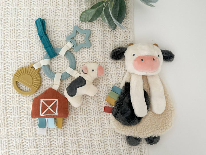 Bitzy Busy Gift Set