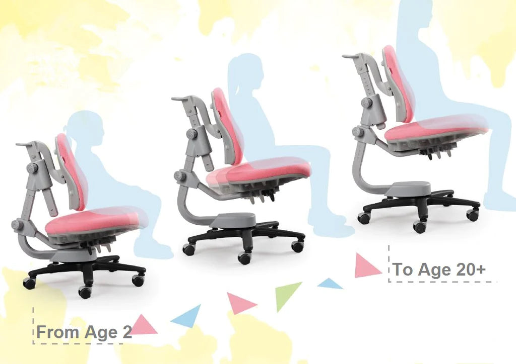 Y918 Ergonomic Chair