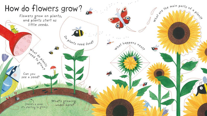 Lift-the-flap Questions and Answers: How do flowers grow?