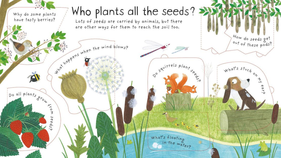 Lift-the-flap Questions and Answers: How do flowers grow?
