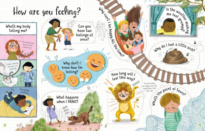 Lift-the-Flap Questions and Answers About Feelings