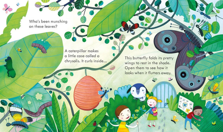Peek Inside The Zoo